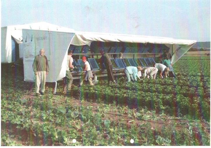 Slide 6
